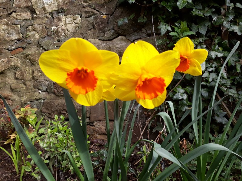 2018-04-16 16.27.25.jpg