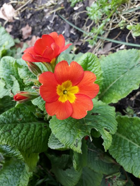 2018-04-16 17.55.32.jpg