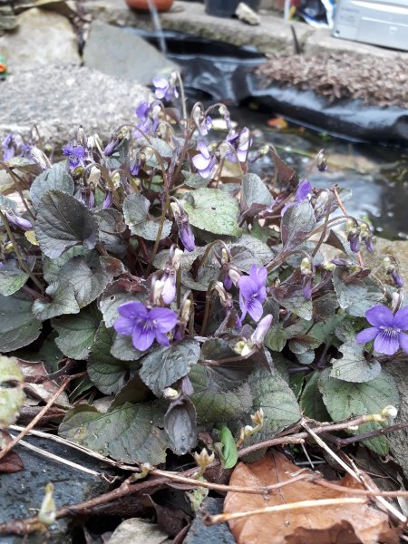 2018-04-16 18.05.32.jpg