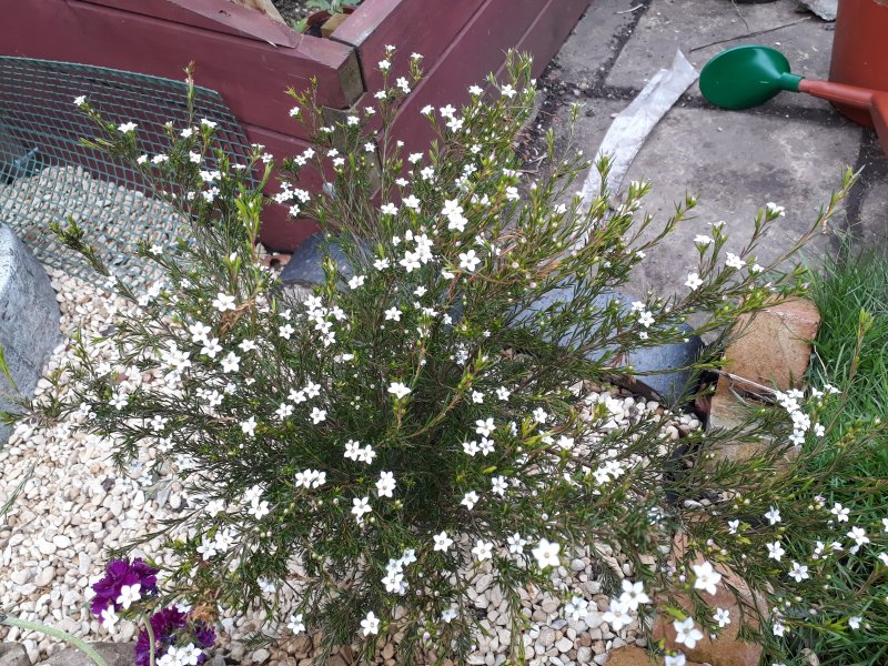 2018-04-16 18.55.38.jpg