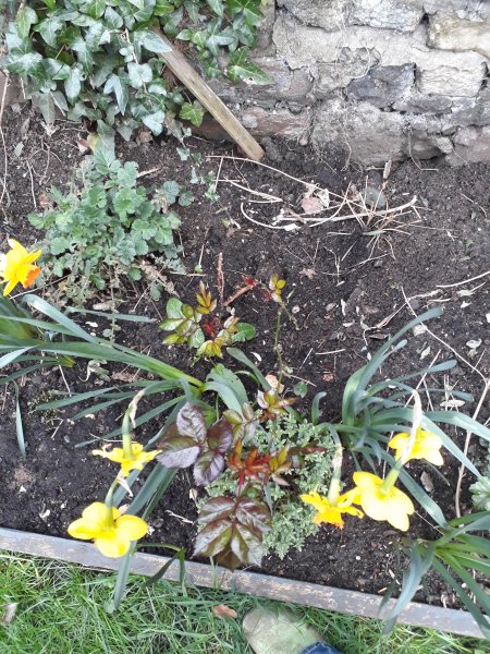 2018-04-16 19.11.13.jpg