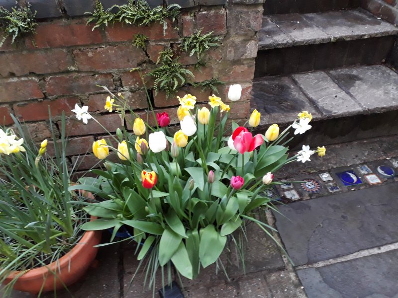 2018-04-18 19.54.31.jpg