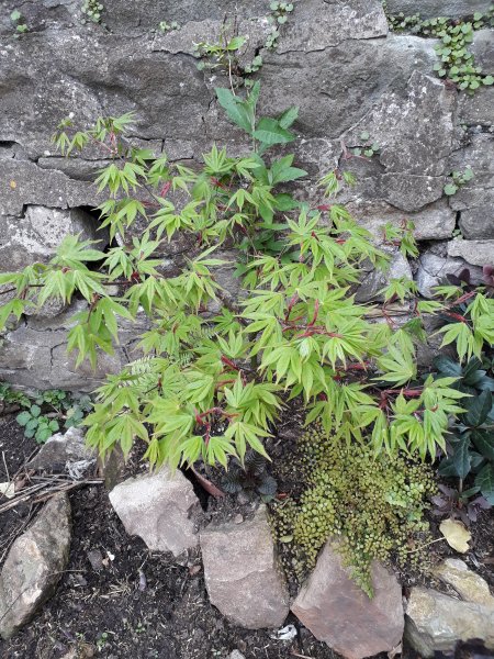 2018-04-22 16.03.29.jpg