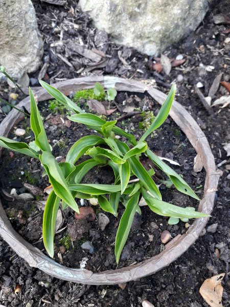 2018-04-22 18.24.55.jpg