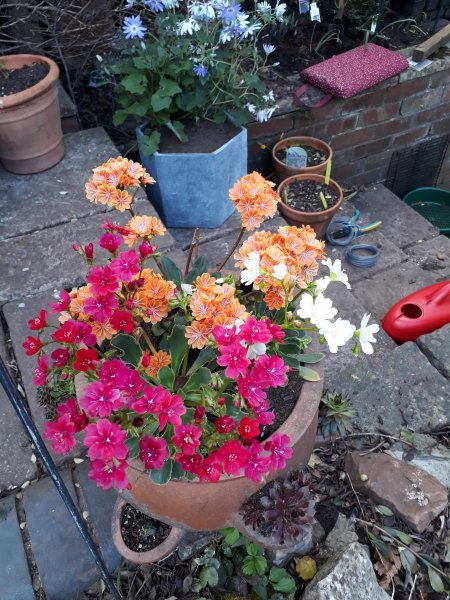 2018-04-22 18.27.05.jpg