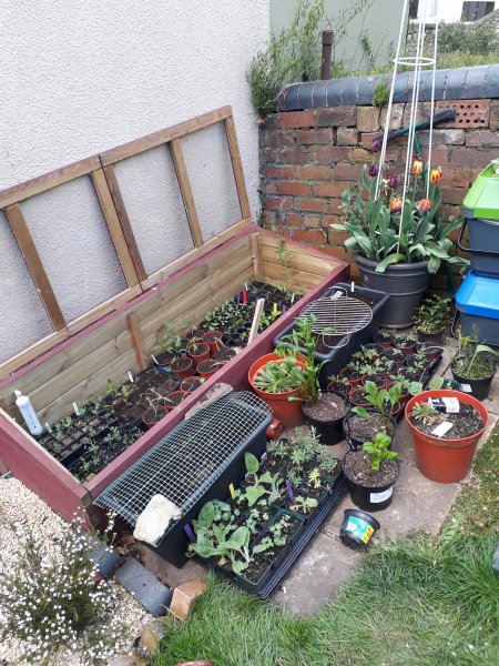 2018-04-22 18.27.21.jpg