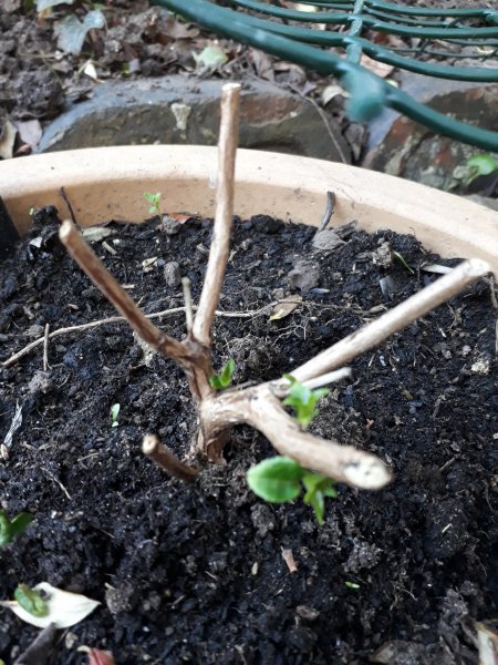 2018-04-22 18.54.01.jpg