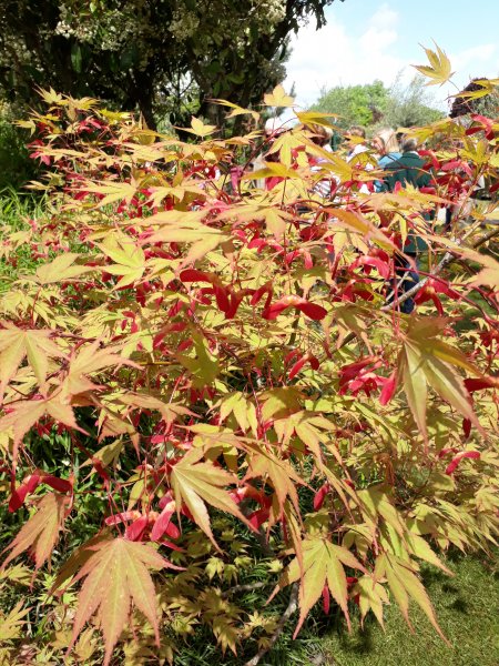 2018-05-10 12.06.50.jpg