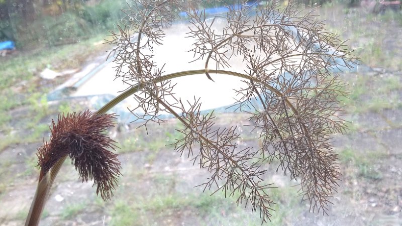 2018-05-13 19.38.52-2.jpg