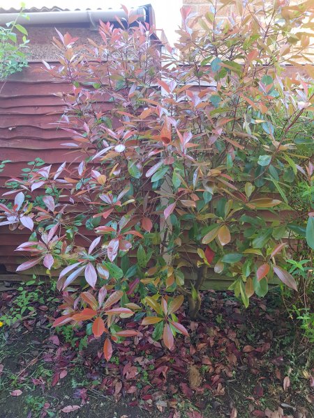 2018-05-14 13.39.45.jpg