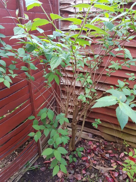 2018-05-15 13.57.12.jpg