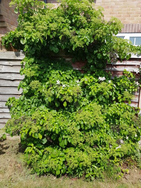 2018-05-15 13.57.26.jpg