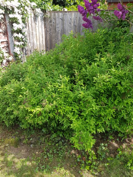 2018-05-15 13.57.40.jpg