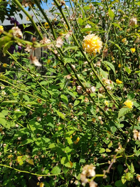 2018-05-21 14.51.39.jpg