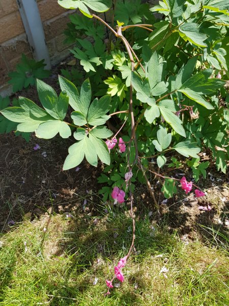 2018-05-28 14.11.02.jpg