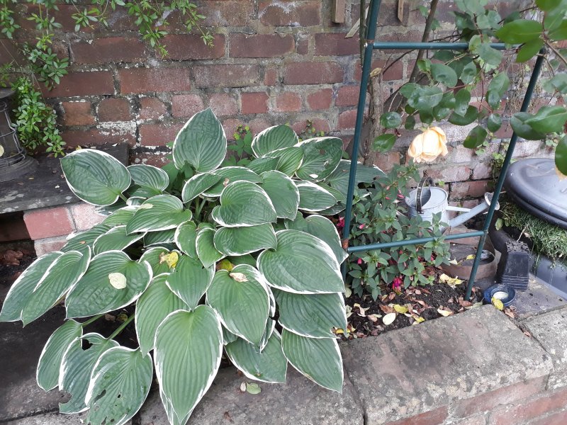 2018-05-28 16.12.56.jpg