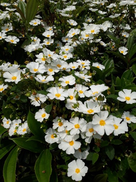 2018-05-29 13.08.30.jpg