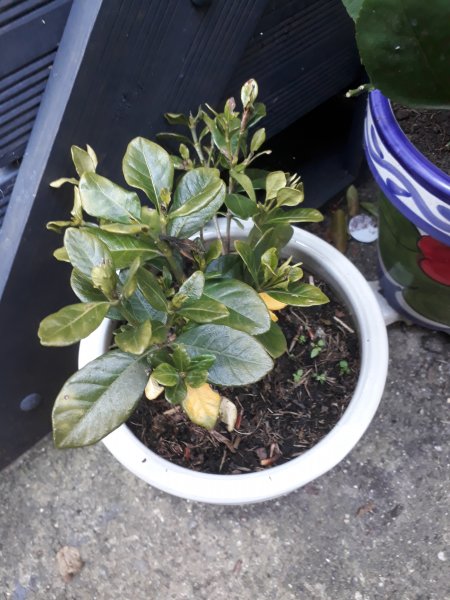 2018-06-03 16.22.51.jpg