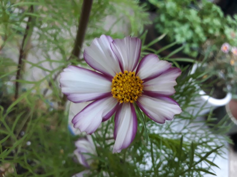 2018-07-02 19.01.12.jpg