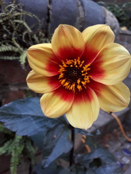 2018-07-02 19.02.48.jpg