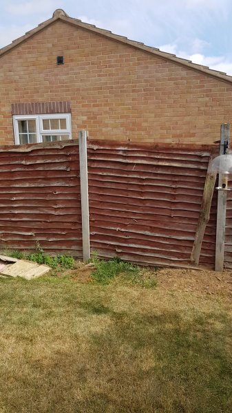 2018-07-21 10.36.35.jpg