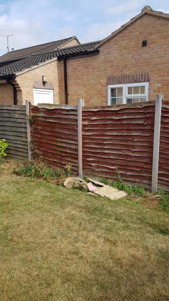 2018-07-21 10.36.37.jpg