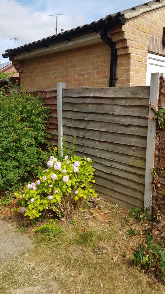 2018-07-21 10.36.50.jpg