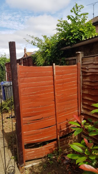 2018-07-21 10.37.04.jpg