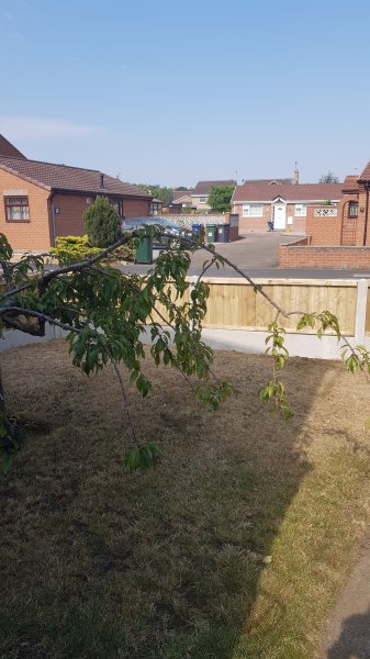 2018-07-26 09.59.58.jpg