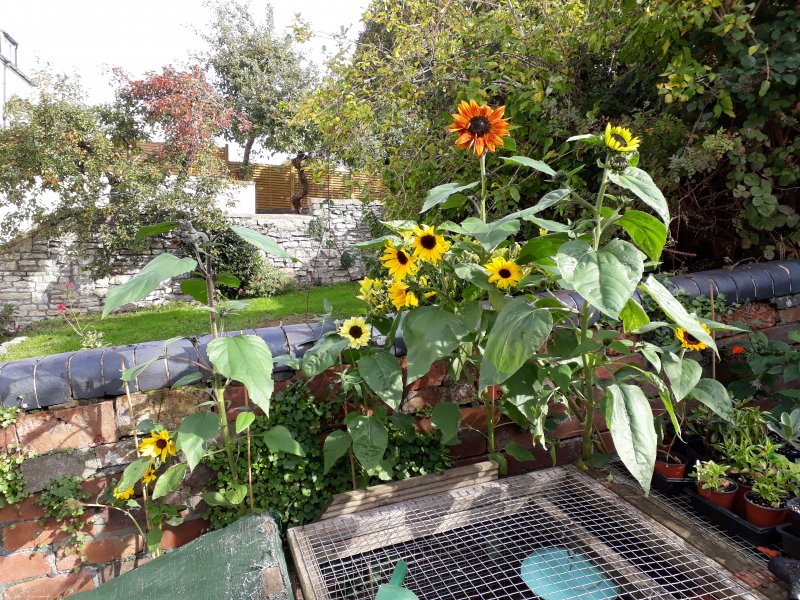 2018-10-07 12.02.20.jpg