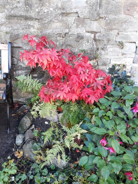 2018-11-11 13.30.52.jpg