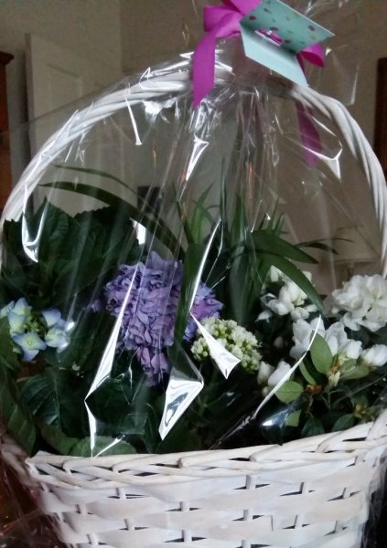 20180311_081215 (722x1024).jpg