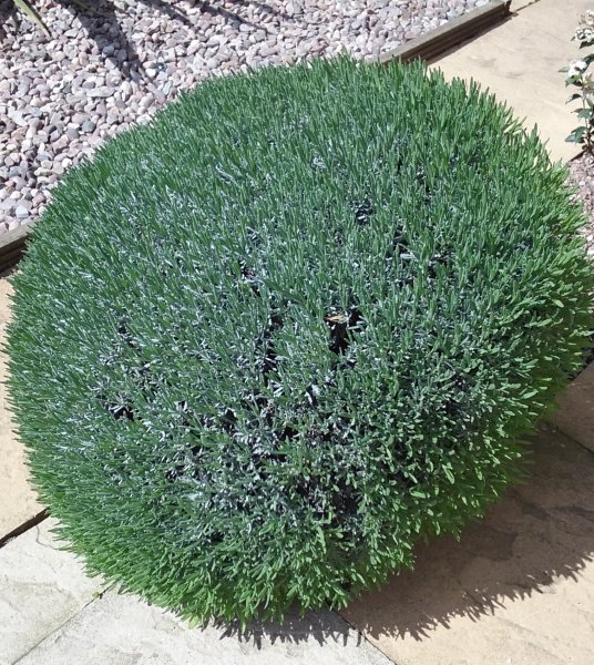 20180501_130645 (2).jpg