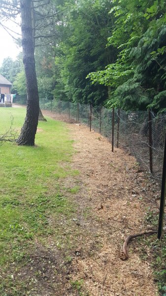 20180612_065237_resized (1).jpg