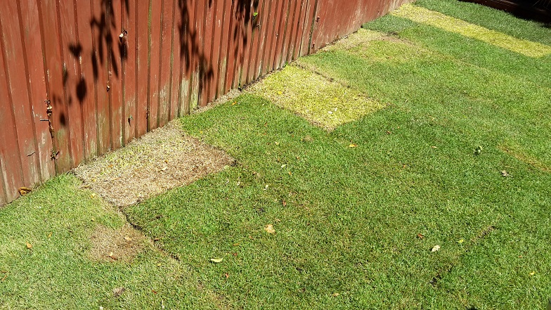 20180627_132405 use small.jpg