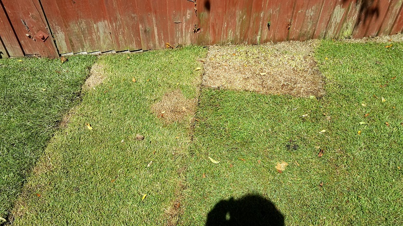 20180627_132459 use small.jpg