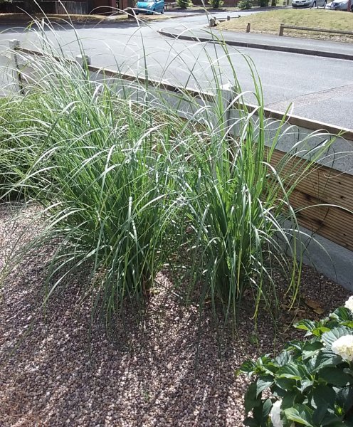 20180801_102947 (2).jpg