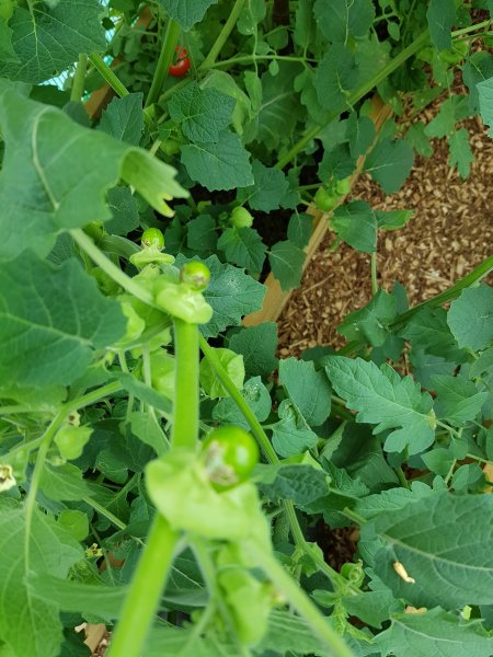 20180817_125408 (1).jpg