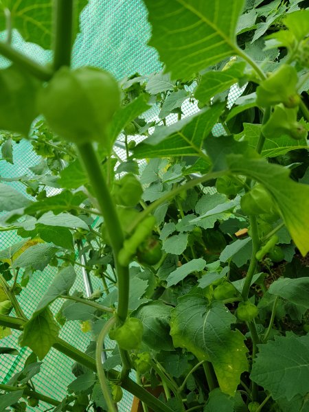 20180817_125444 (1).jpg