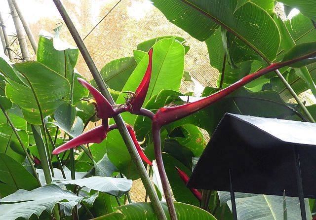 2018_02130061 H c.jpg