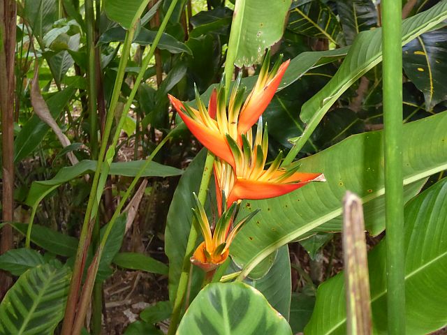 2018_02130115 H b.jpg