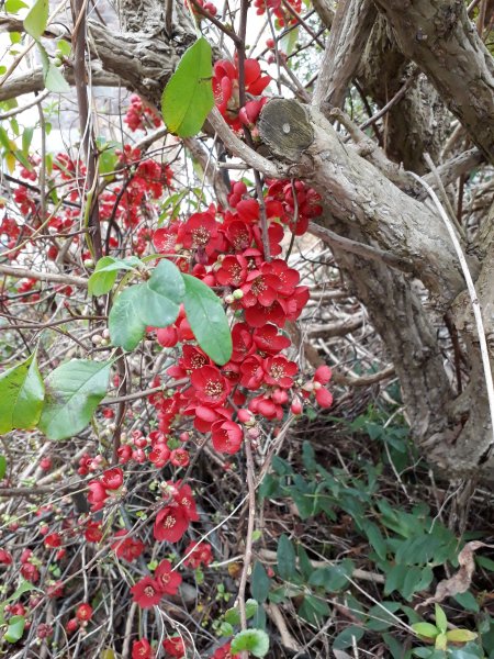 2019-01-16 12.40.59.jpg