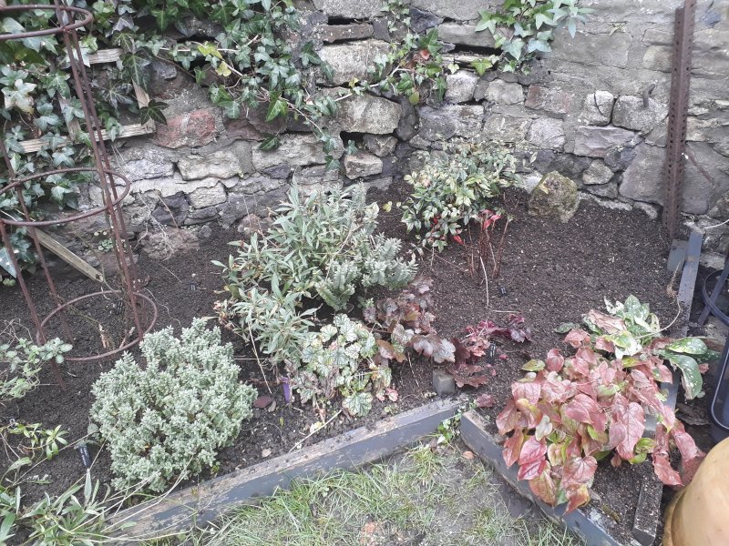 2019-01-20 13.42.19.jpg