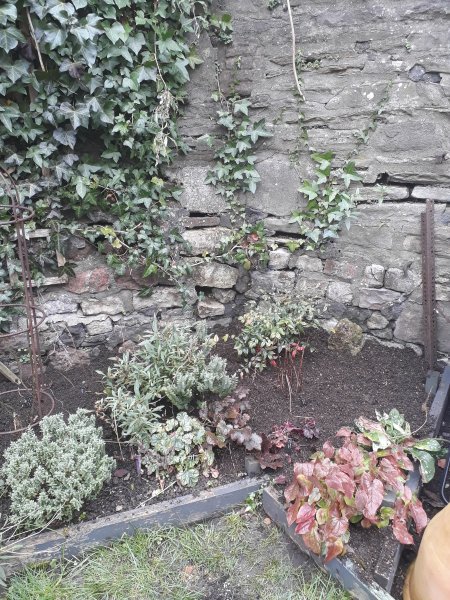 2019-01-20 13.42.28.jpg