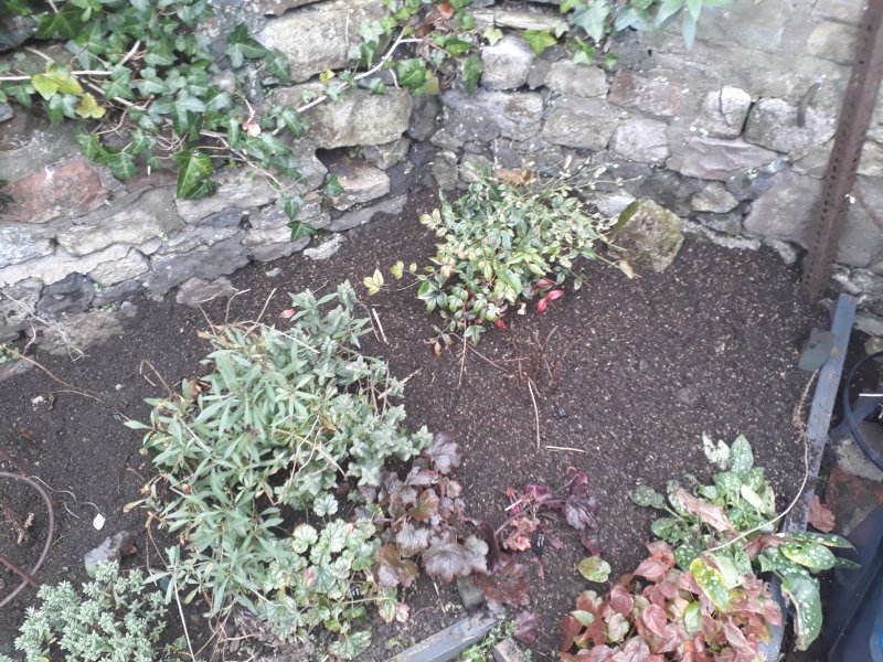 2019-01-20 13.42.36.jpg