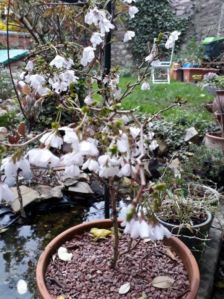 2019-03-11 17.11.05.jpg