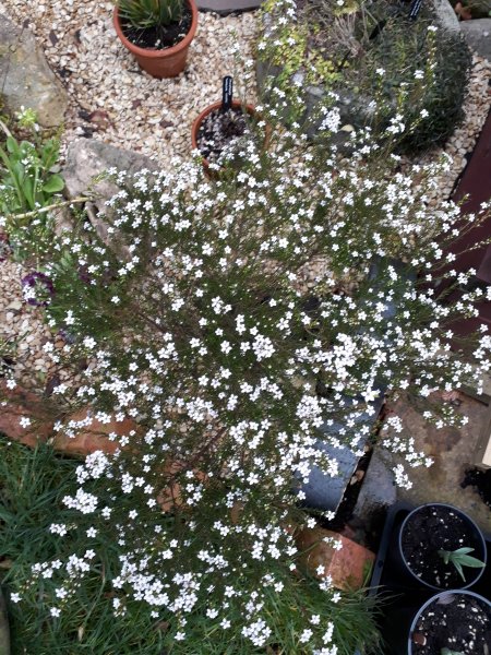 2019-03-11 17.11.52.jpg