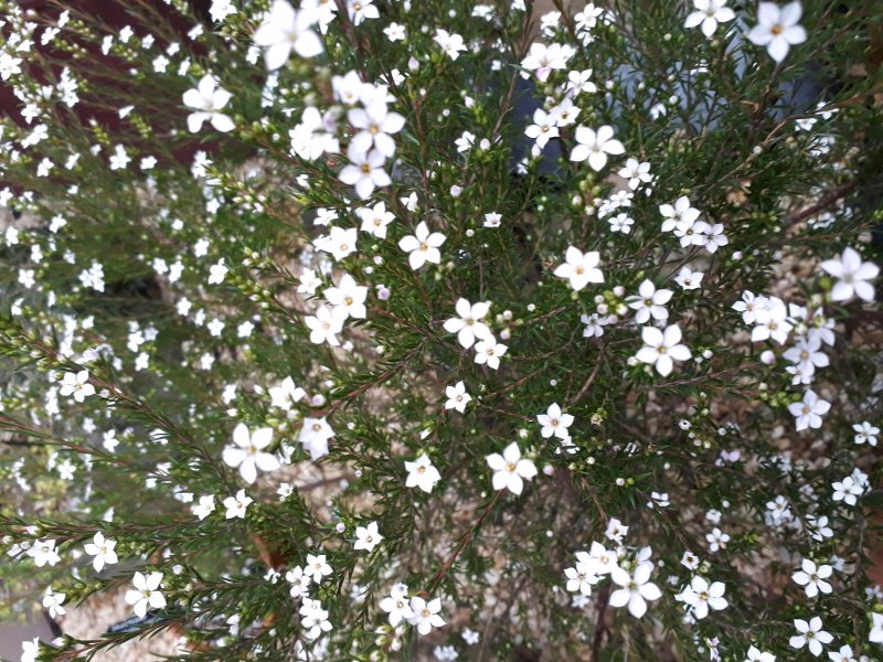 2019-03-11 17.12.24.jpg