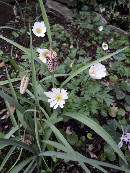 2019-03-22 15.00.09.jpg