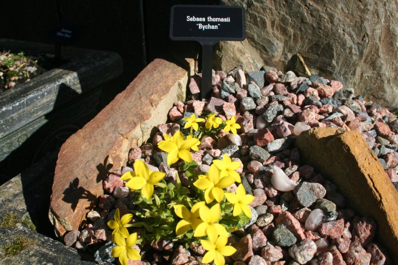 2019-03-28 21.54.53.jpg